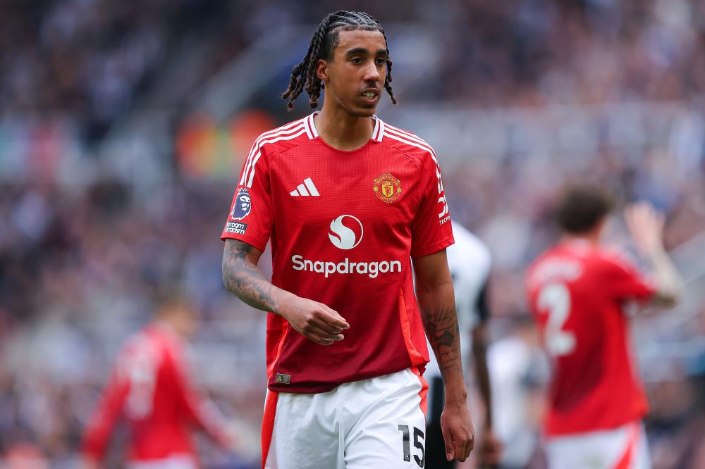 公牛的失利 公牛的失利